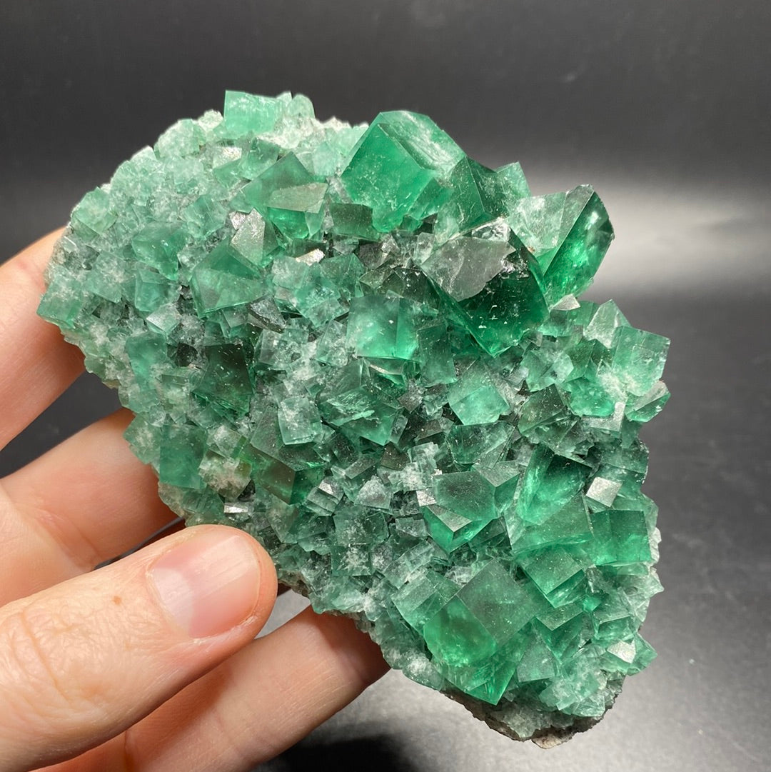 Fluorite - Hidden Forest Pocket - United Kingdom