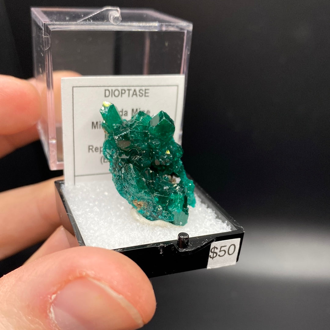 Dioptase Thumbnail Specimen - Rep of Congo