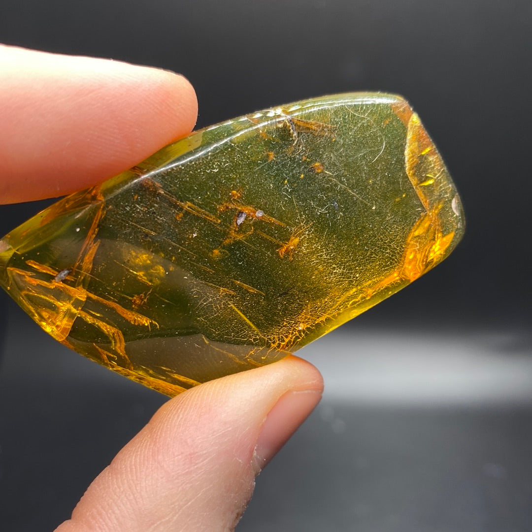 Amber with Insects - Mexico