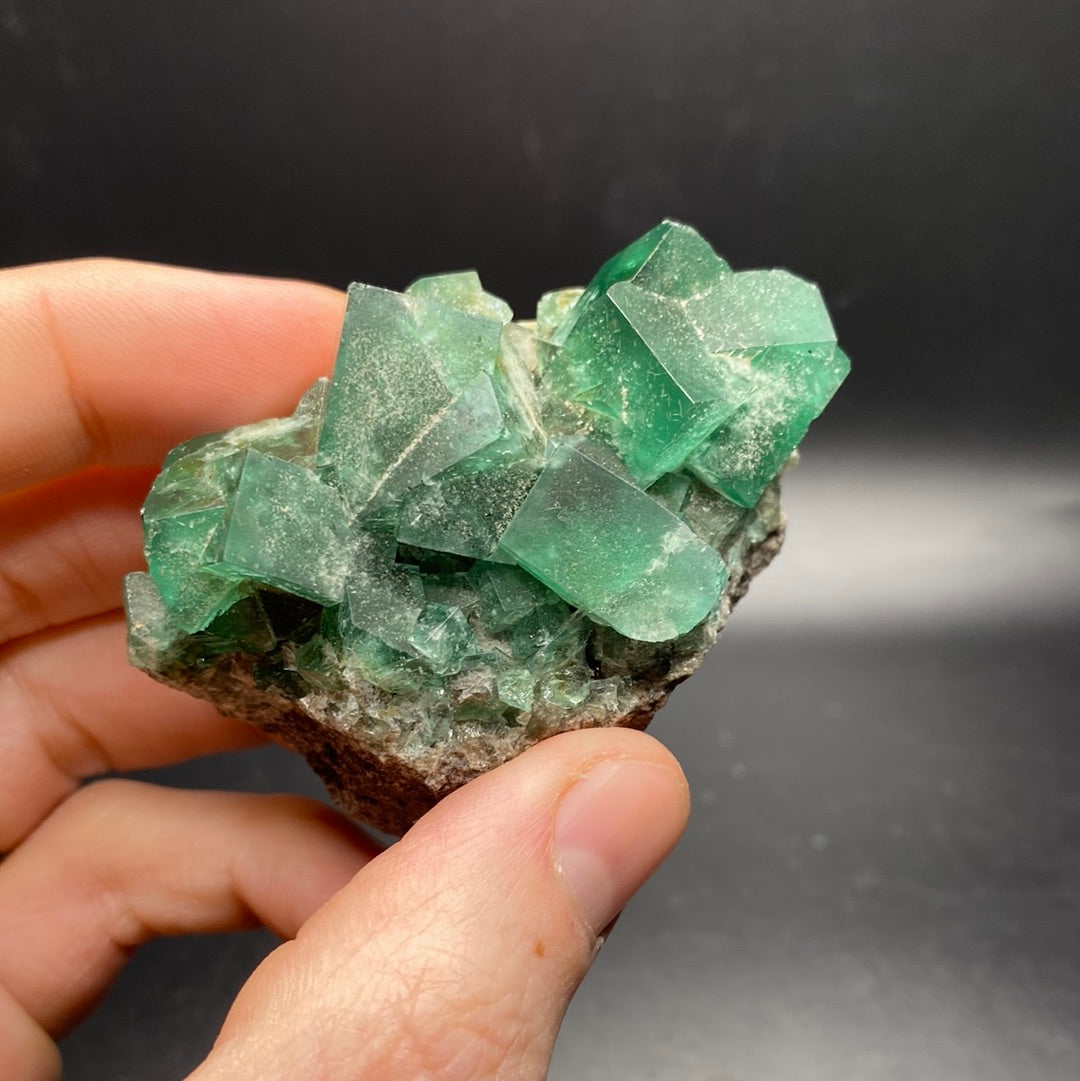 Fluorite - Hidden Forest Pocket - United Kingdom