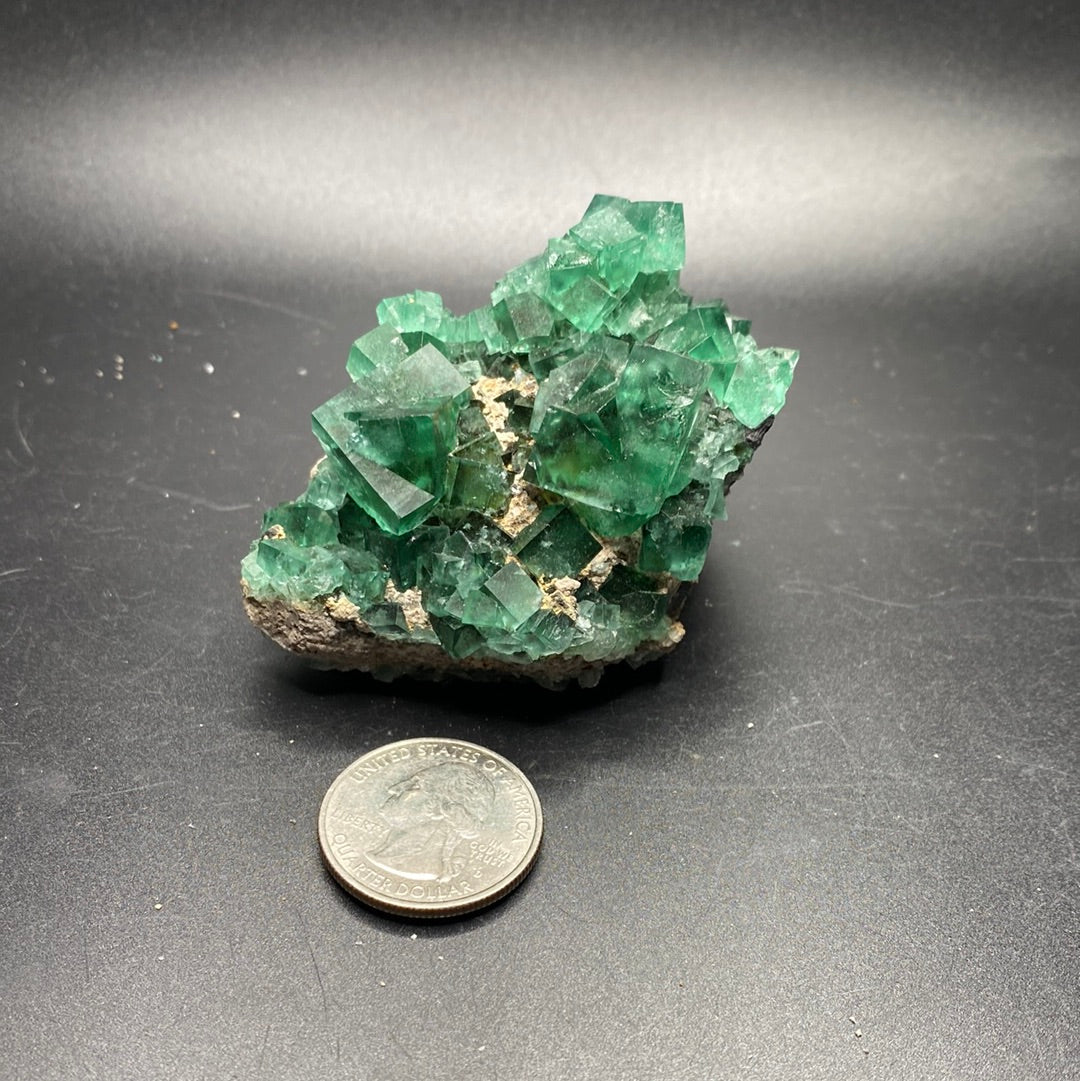 Fluorite - Hidden Forest Pocket - United Kingdom