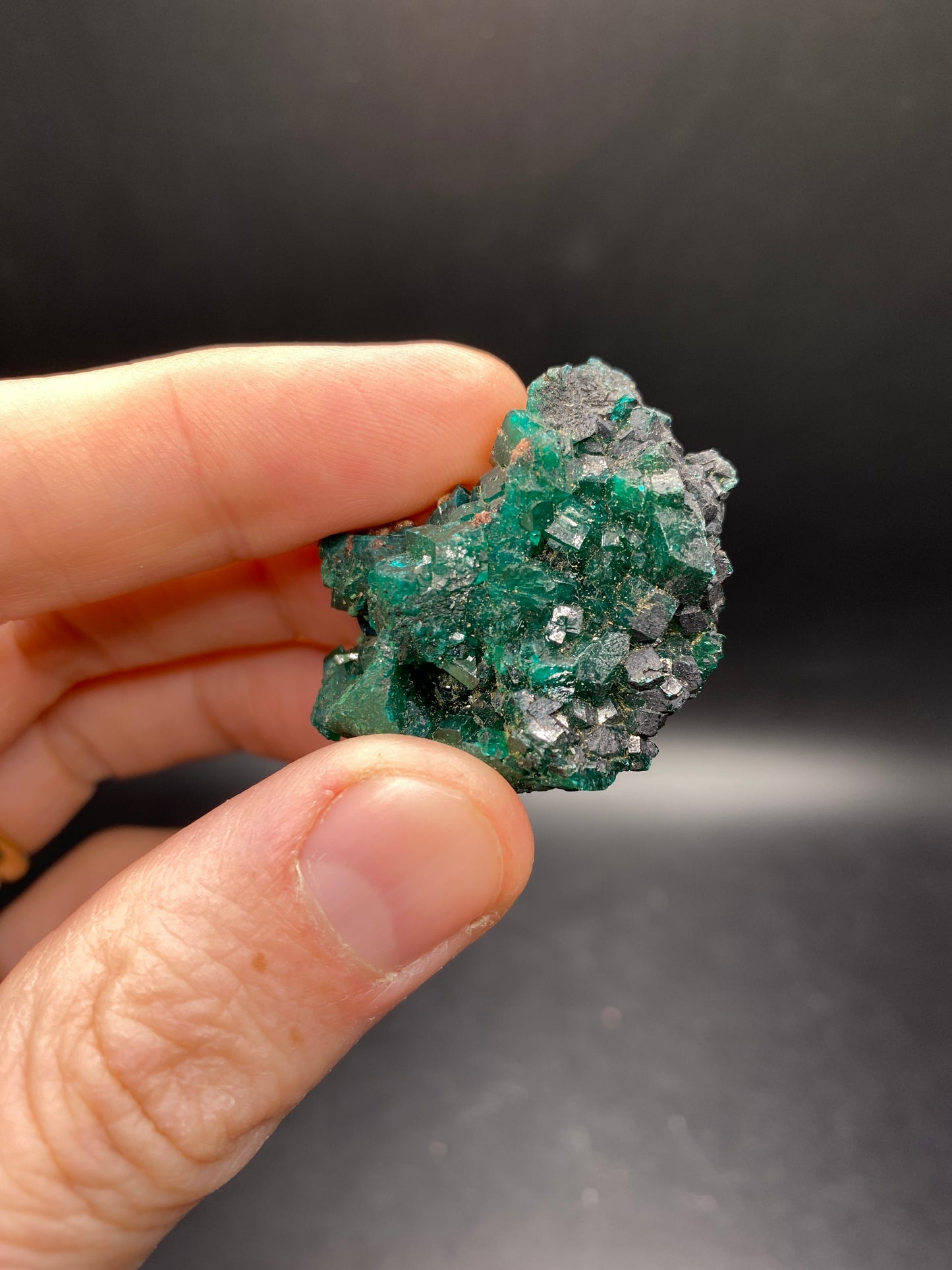 Dioptase - Congo - 22