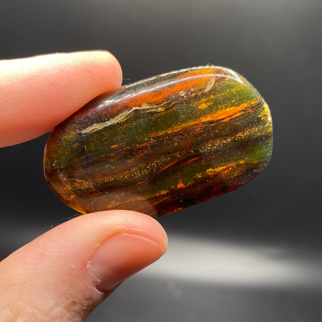 Amber with Insects - Mexico