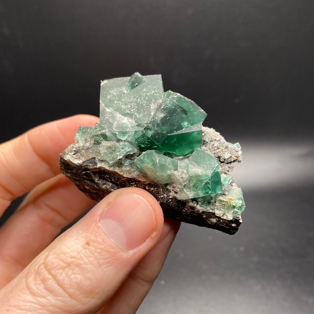 Fluorite - Hidden Forest Pocket - United Kingdom