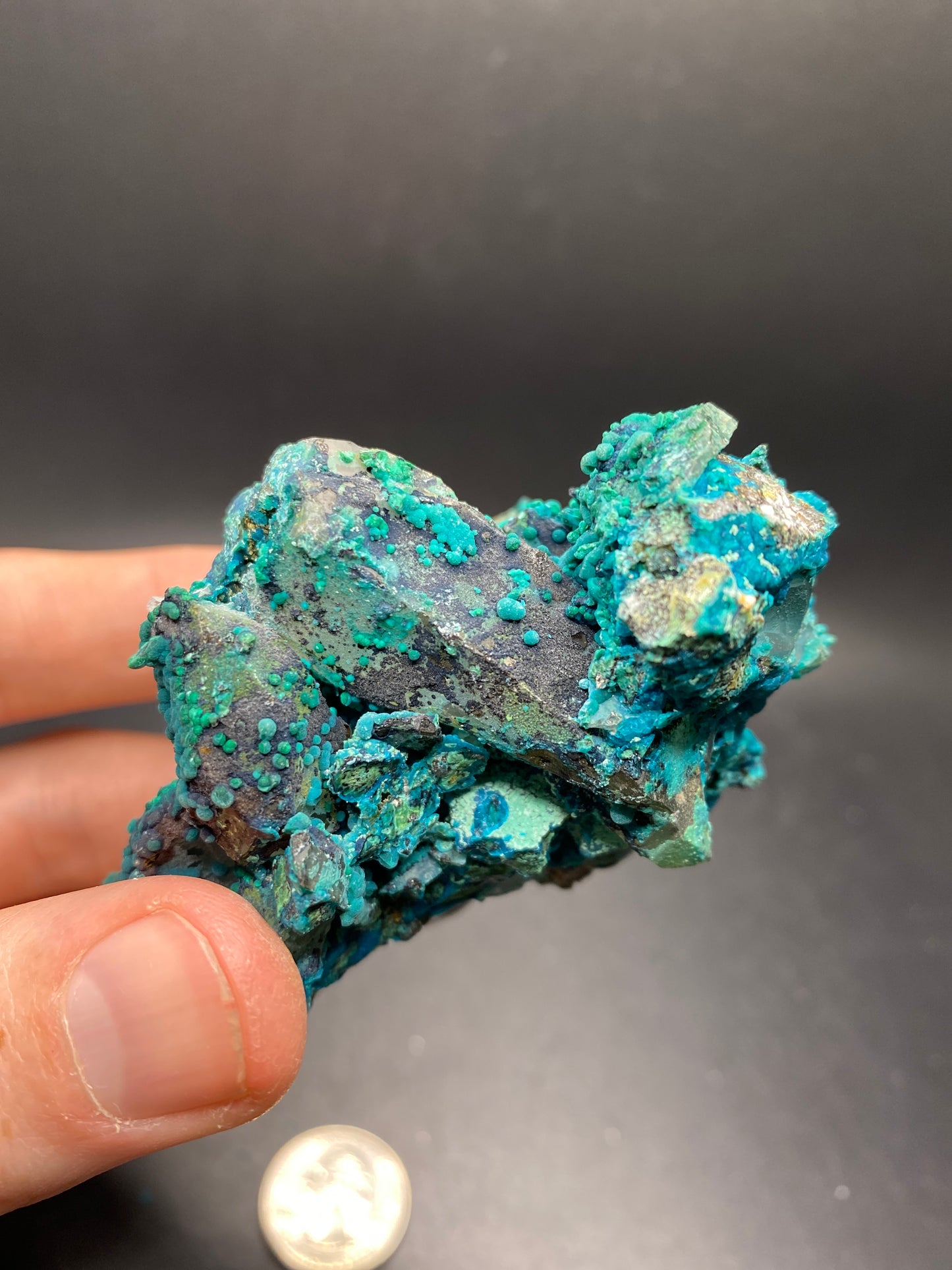 Chrysocolla on Quartz - Tentadora Mine - Peru