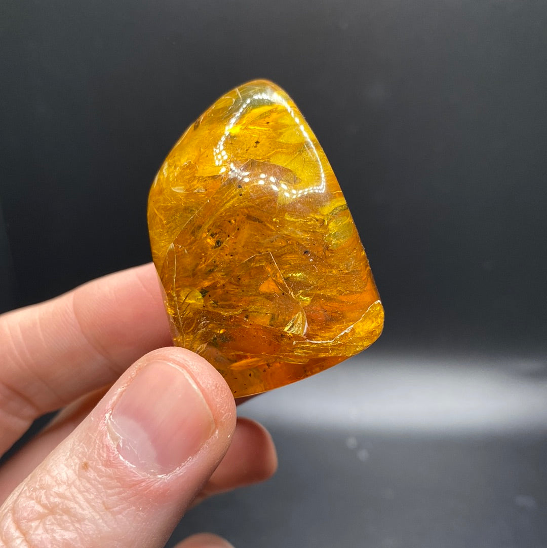 Amber with Insects - Mexico