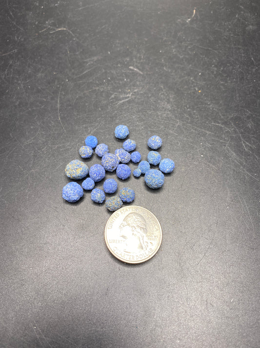 Azurite Blueberries- Utah