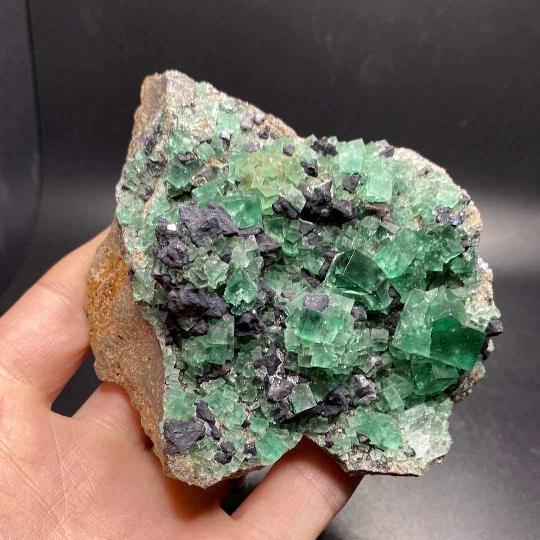 Fluorite - Hidden Forest Pocket - United Kingdom