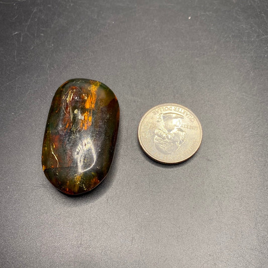 Amber with Insects - Mexico