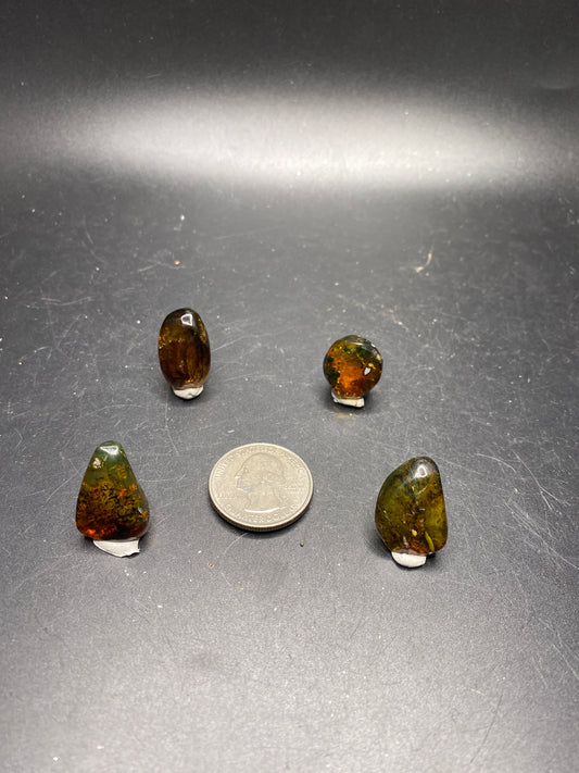 Polished Amber - Mexico