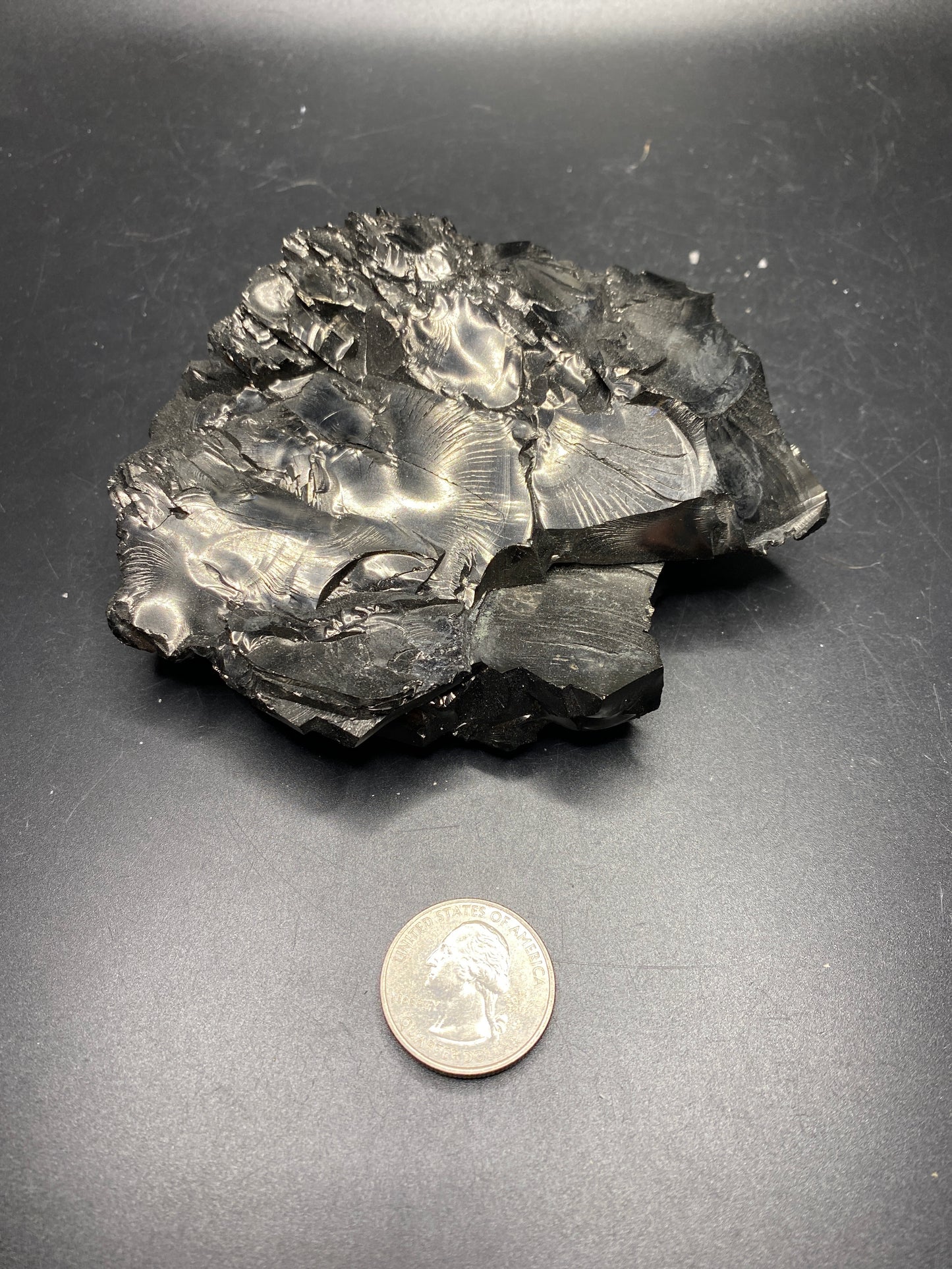 Elite Shungite (Raquerite) - Columbia