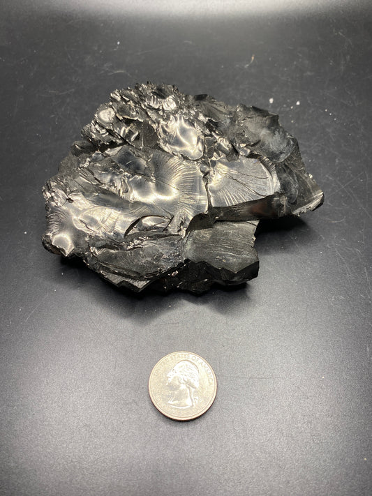 Elite Shungite (Raquerite) - Columbia