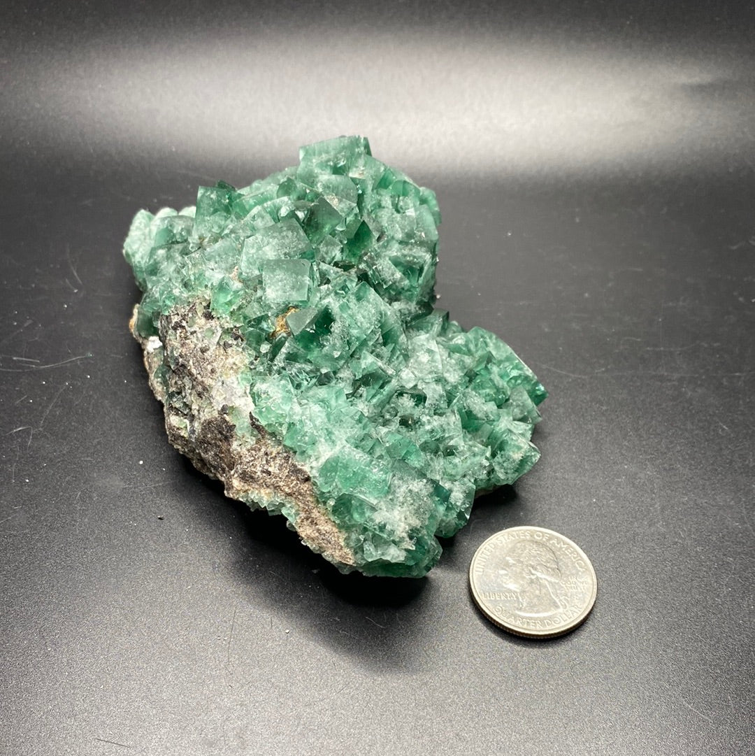 Fluorite - Hidden Forest Pocket - United Kingdom