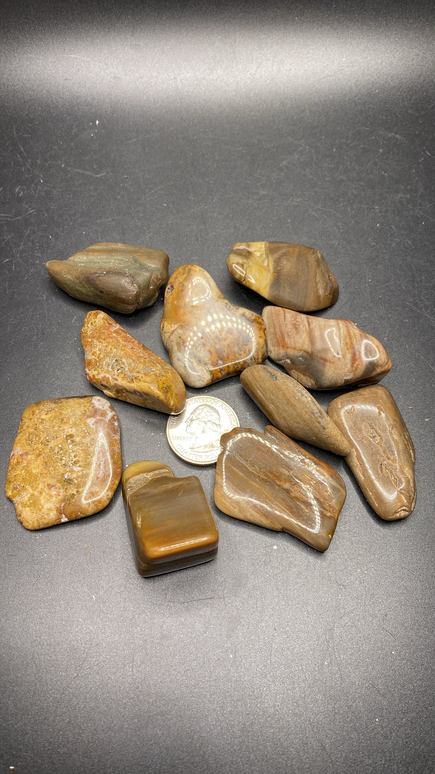 Petrified Wood Tumbles