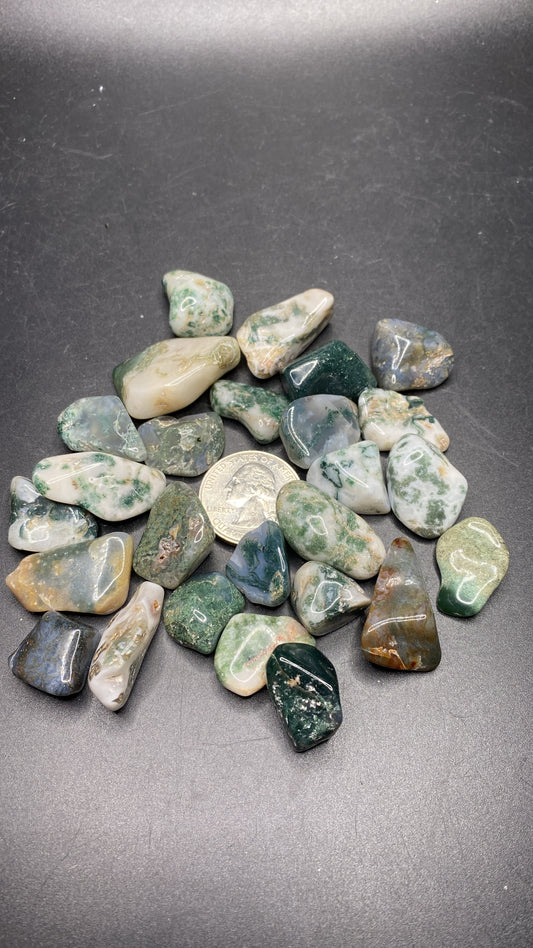 Moss Agate Tumble - Small