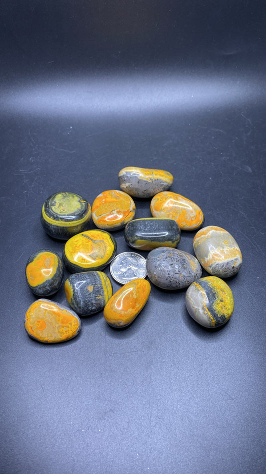 Bumblebee Jasper Tumbles