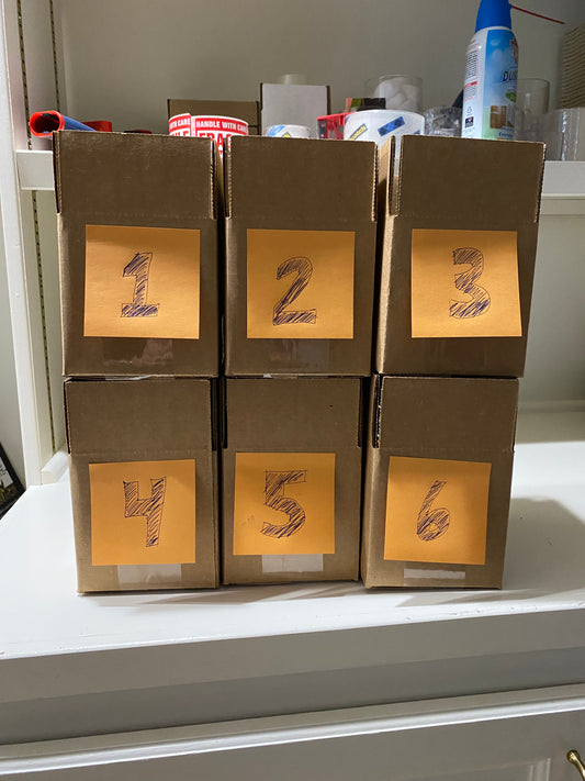 Mystery Box - $25