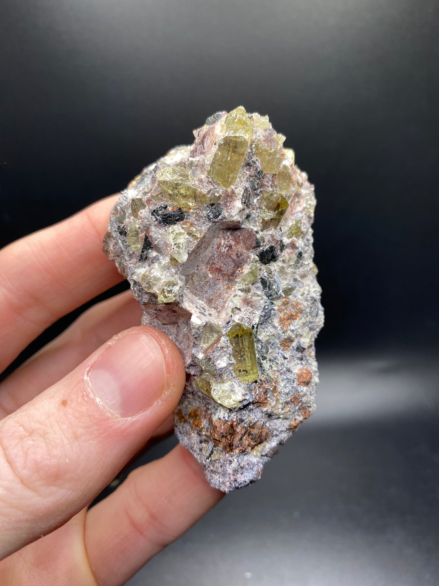 Fluorapatite with Magnatite and Quartz - Mexico