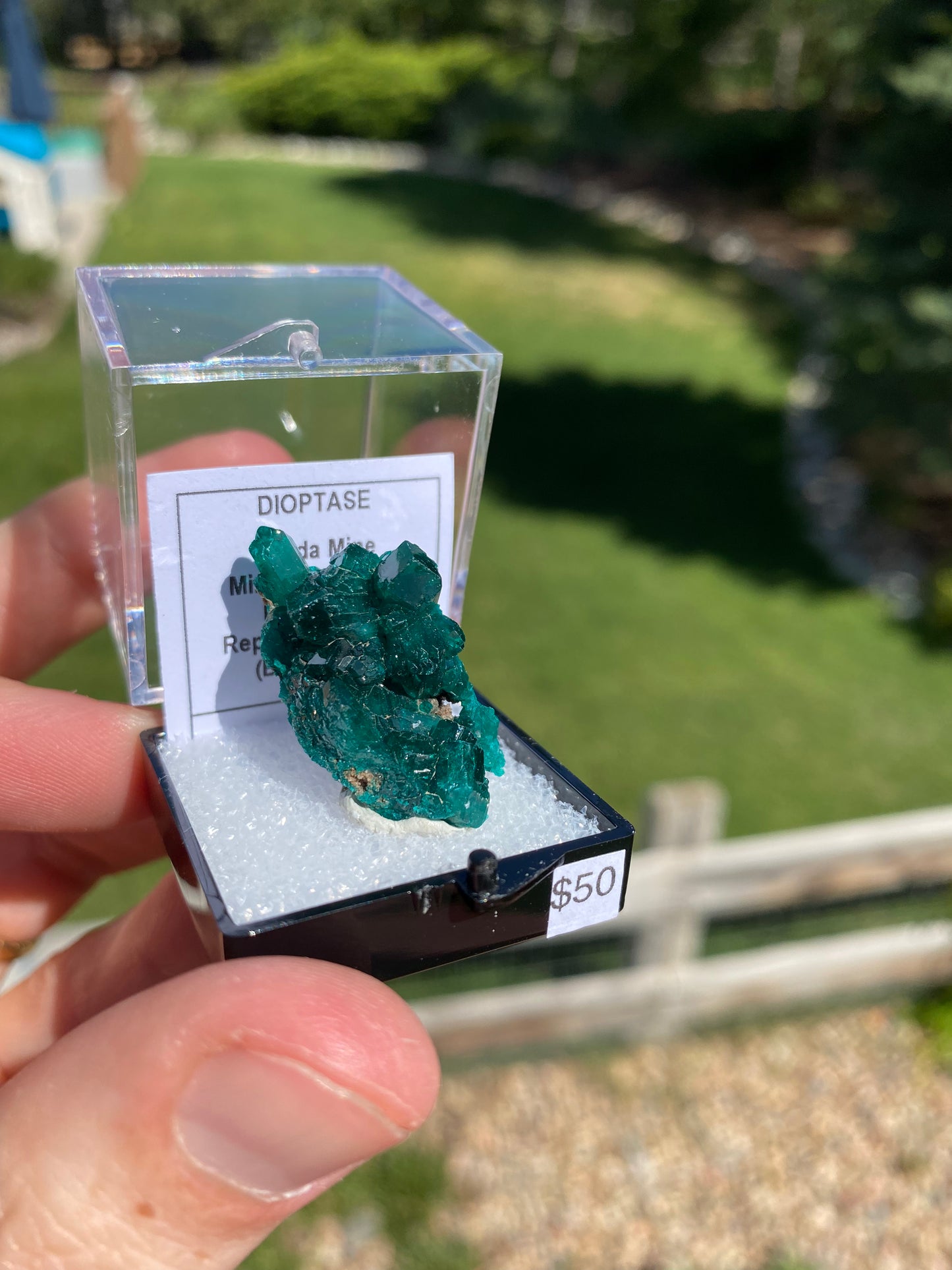 Dioptase Thumbnail Specimen - Congo