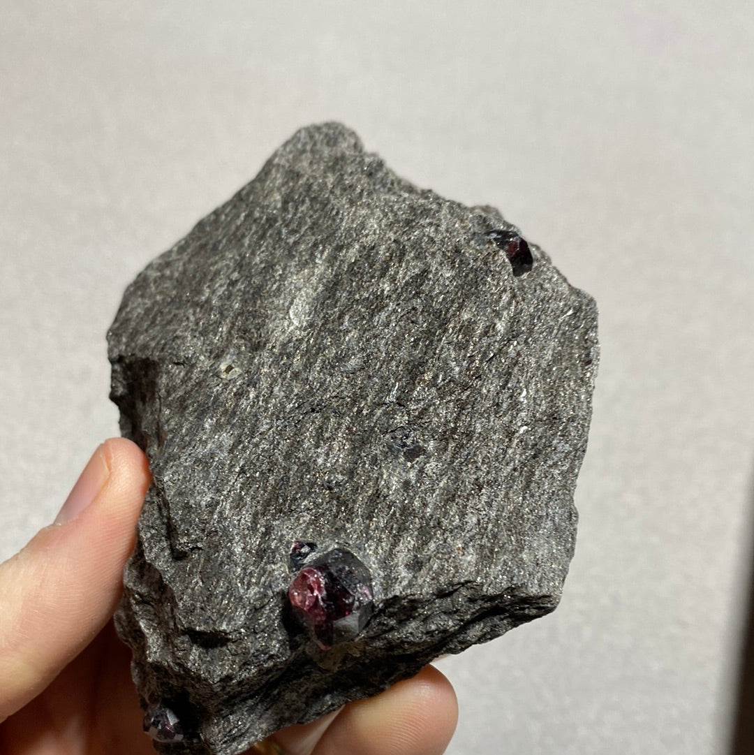 Garnet in Schist - Alaska