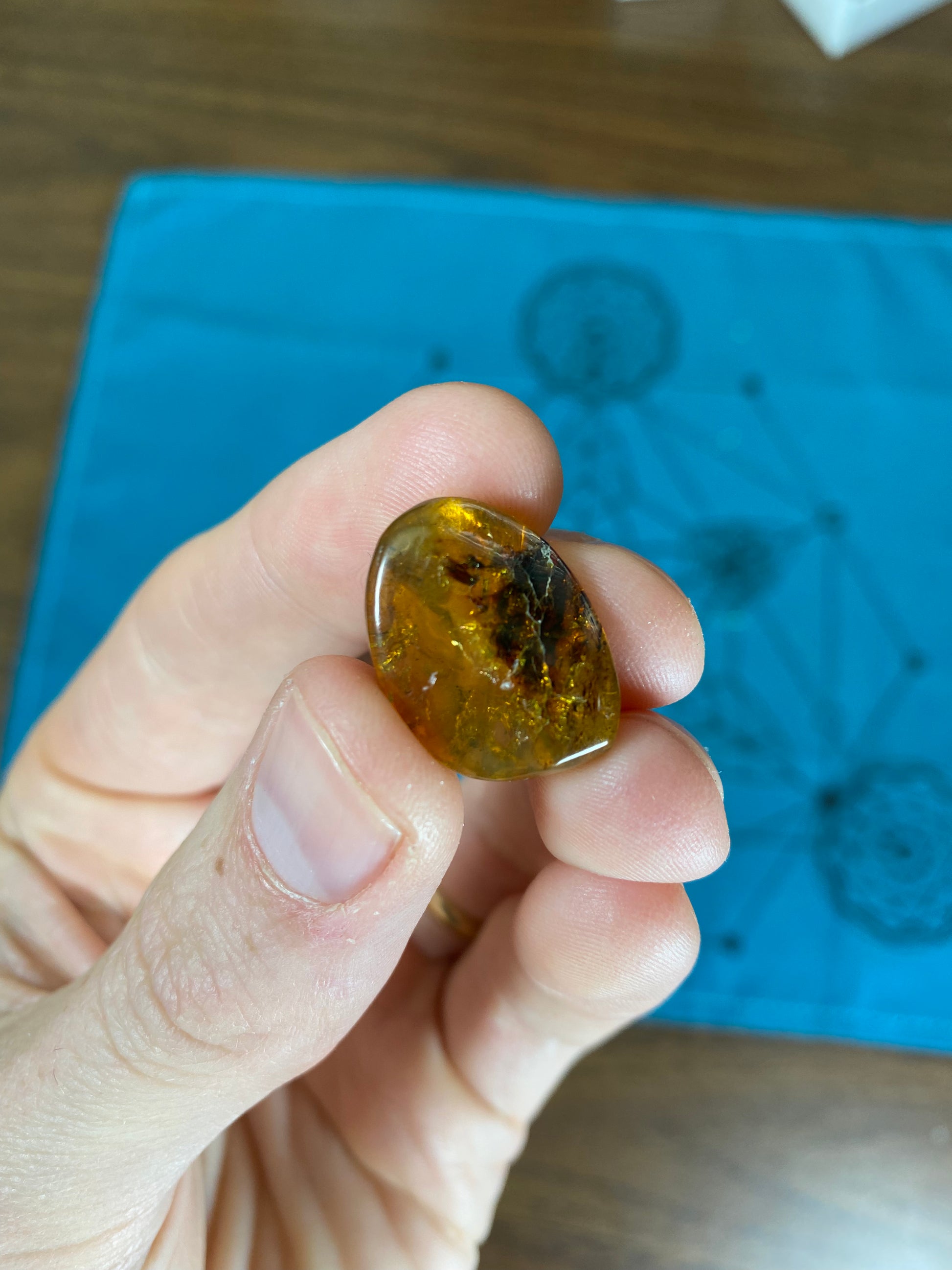 Polished Amber Specimen