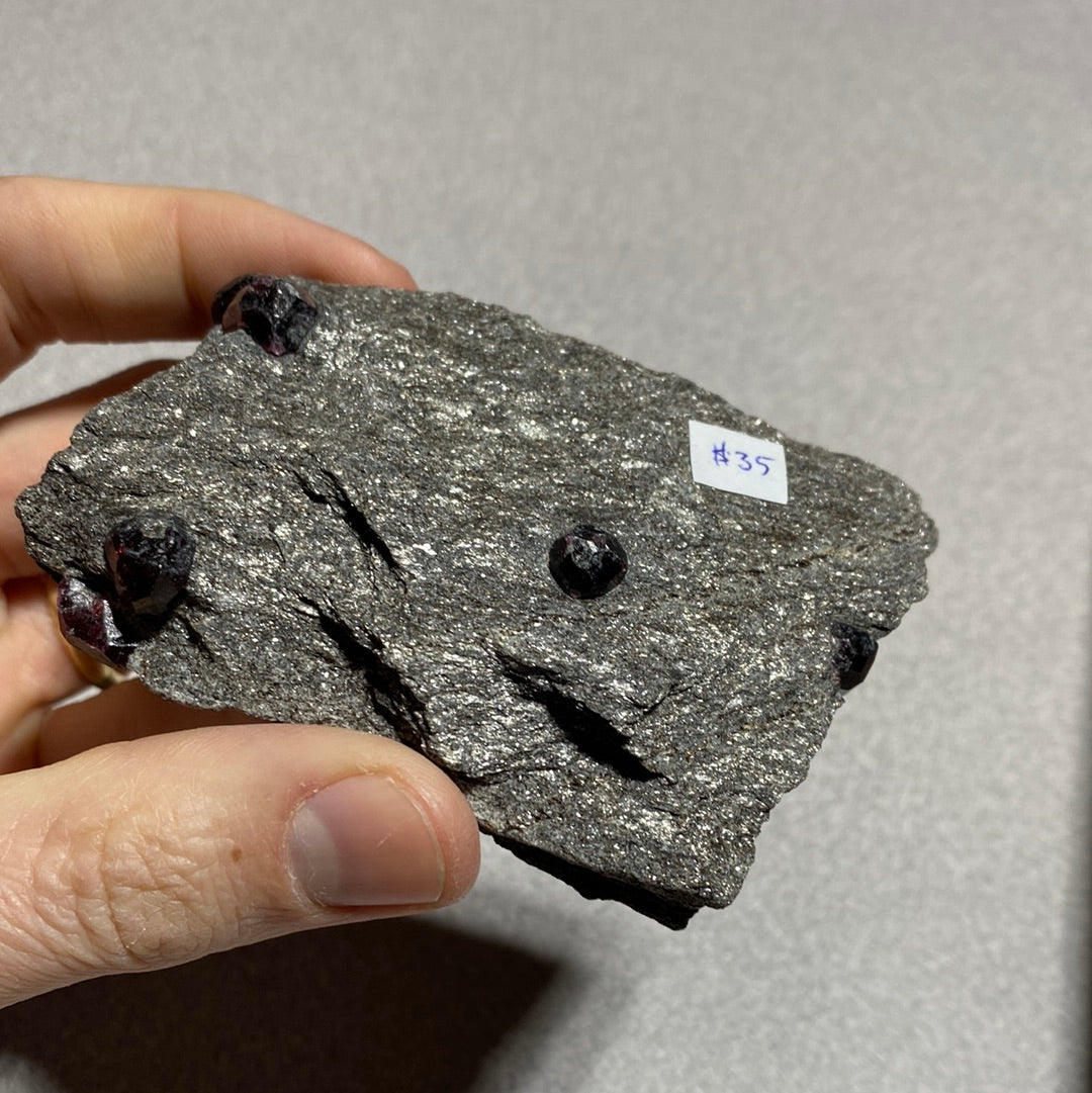 Garnet in Schist - Alaska