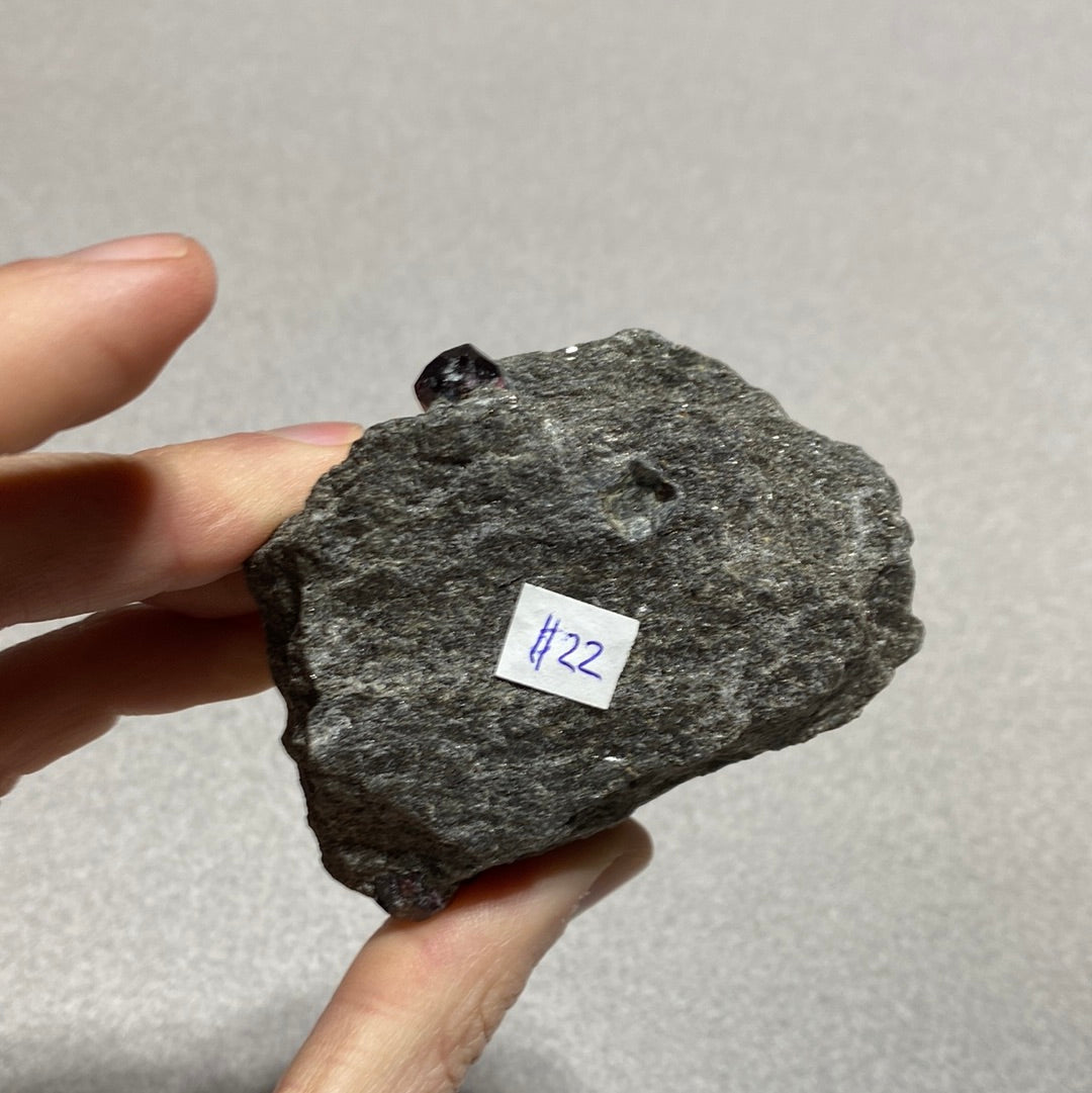 Garnet in Schist - Alaska