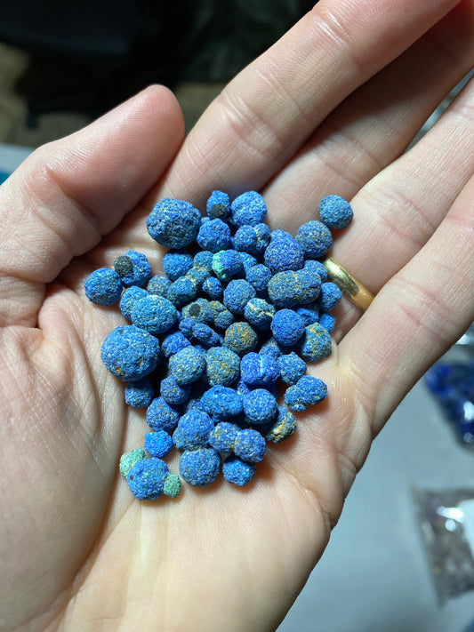 Azurite Blueberries- Utah